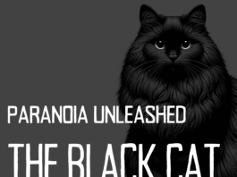 Unraveling Darkness: A Reflective Journey Through Poe’s ‘The Black Cat