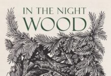 Whispers in the Shadows: Exploring Dale Bailey’s ‘In The Night Wood