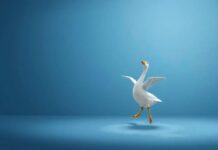 The Goose Who Tried Ballet: A Feathered Friend’s Twirl into Dreamland The Goose Who Tried Ballet: A Feathered Friend’s Twirl into Dreamland