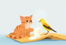 The Cat’s Kind Gift: Sharing Milk with a Little Feathered Friend The Cat’s Kind Gift: Sharing Milk with a Little Feathered Friend