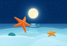 The Magical Starfish: A Leap Across Islands Under the Moonlight The Magical Starfish: A Leap Across Islands Under the Moonlight