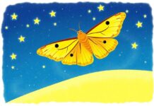 The Moth’s Magical Journey: Falling in Love with the Twinkling Stars The Moth’s Magical Journey: Falling in Love with the Twinkling Stars