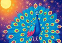 The Peacock Who Designed Magical Costumes: A Tale of Colors and Dreams The Peacock Who Designed Magical Costumes: A Tale of Colors and Dreams