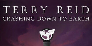 Crashing Down to Earth by Terry Reid: A Grounded Journey Explored