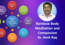 Embracing Stillness: A Thoughtful Review of Amit Ray’s Mindfulness Guide