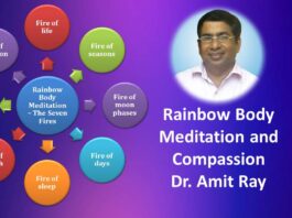 Embracing Stillness: A Thoughtful Review of Amit Ray’s Mindfulness Guide