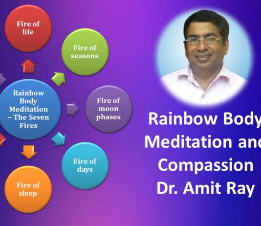 Embracing Stillness: A Thoughtful Review of Amit Ray’s Mindfulness Guide