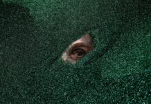 Exploring Shadows and Light: A Thoughtful Review of Down in the Valley