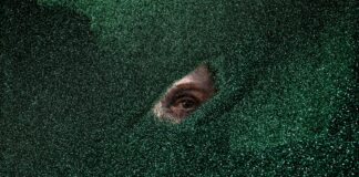 Exploring Shadows and Light: A Thoughtful Review of Down in the Valley