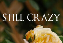 Rediscovering Life’s Layers: A Thoughtful Review of Still Crazy by Judy Prescott Marshall