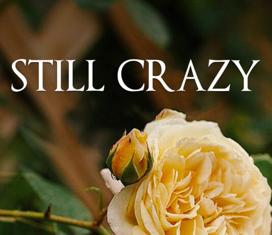 Rediscovering Life’s Layers: A Thoughtful Review of Still Crazy by Judy Prescott Marshall