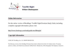 Unmasking the Wit and Wonder: A Thoughtful Review of Twelfth Night
