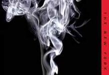 Unraveling Mysteries: A Thoughtful Look at John Green’s Looking for Alaska