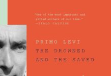 Unveiling Memory and Truth: A Thoughtful Review of Primo Levi’s The Drowned and the Saved