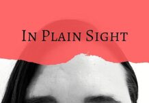 Unveiling Shadows: A Review of In Plain Sight by Anna D. Stoddard