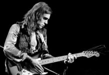 Unveiling the Skies: A Thoughtful Review of Terry Reid’s Crashing Down to Earth