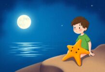 The Boy and the Starfish: A Magical Friendship Under the Moonlight The Boy and the Starfish: A Magical Friendship Under the Moonlight