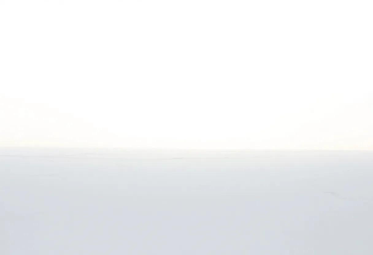 The Role of Memory and Its Unreliability in Shaping the reader's Understanding of Bereavement and Personal Loss