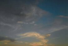 Chasing Twilight: An Insightful Look at The Last Sunset by March Lions