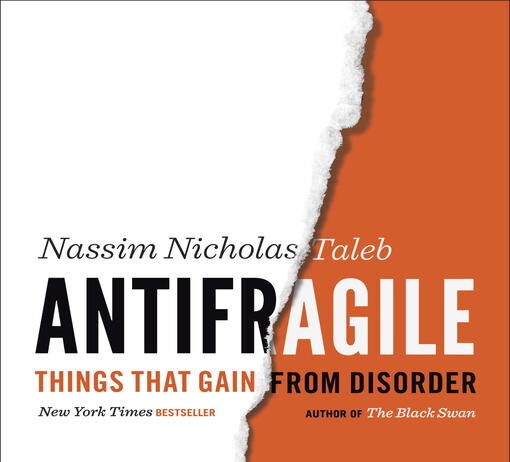 Embracing Chaos: A Thoughtful Review of Taleb’s Antifragile
