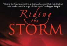 Navigating Turbulence: A Thoughtful Review of Sydney Croft’s Riding the Storm