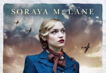 Soaring Through History: A Thoughtful Look at The Spitfire Girls by Lane