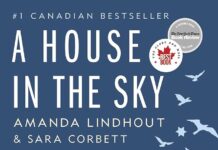 Soaring Through Trauma: A Reflective Review of A House in the Sky