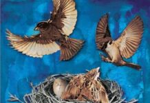 Unraveling Isolation and Intrigue: A Review of Shirley Jackson’s The Bird’s Nest