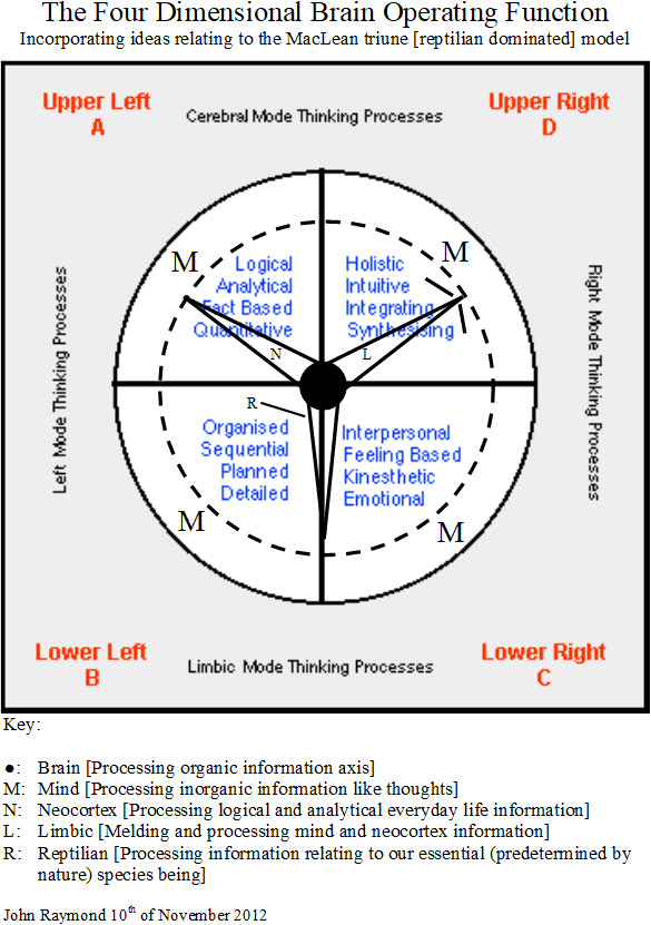unraveling-mysteries-a-thoughtful-look-at-jan-raymonds-circle-of-five