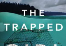 Unraveling Secrets and Suspense: A Thoughtful Look at The Trapped Girl