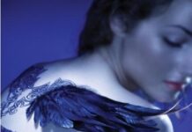 Unraveling Shadows: A Thoughtful Look at Melissa Marr’s Ink Exchange