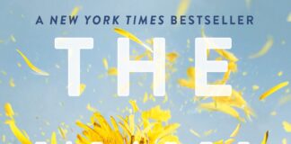 Unveiling Change and Resilience: A Thoughtful Look at Amber Smith’s The Way I Used to Be