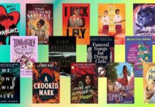 Unveiling Charm and Chaos: A Balanced Look at Elle Casey’s Novel