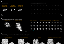 Unveiling Facades: A Thoughtful Review of Heath Sommer’s The Manufactured Identity