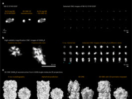 Unveiling Facades: A Thoughtful Review of Heath Sommer’s The Manufactured Identity