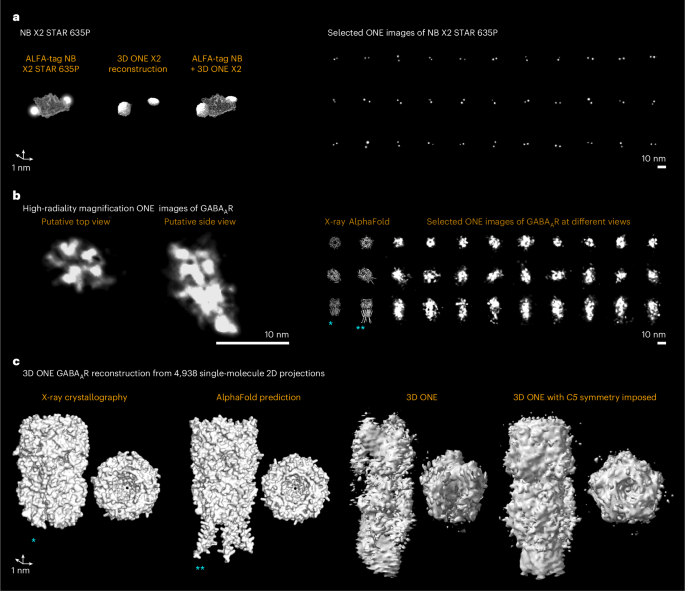 unveiling-facades-a-thoughtful-review-of-heath-sommers-the-manufactured-identity