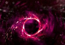 Unveiling Four: A Nuanced Dive into Veronica Roth’s Divergent Tales