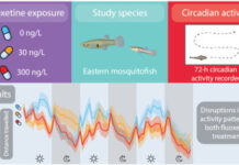 Unveiling Nature’s Rhythm: A Thoughtful Review of Breeding Cycle by T.A. Grey