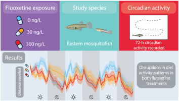 unveiling-natures-rhythm-a-thoughtful-review-of-breeding-cycle-by-t-a-grey