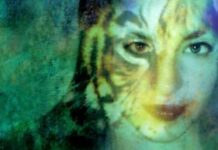 Unveiling Shadows: A Thoughtful Review of In the Forests of the Night