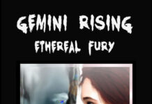 Unveiling the Mystique: A Thoughtful Review of Ethereal Fury by O’Gorek