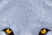 Unveiling the Wild: A Thoughtful Journey into The Sight by Clement-Davies