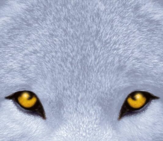 Unveiling the Wild: A Thoughtful Journey into The Sight by Clement-Davies