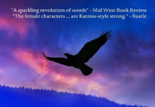 Unveiling Time’s Echoes: A Thoughtful Review of The Millennial Reincarnations