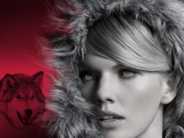 Bloodrose by Andrea Cremer: A Reader’s Guide to the Novel’s Dark World